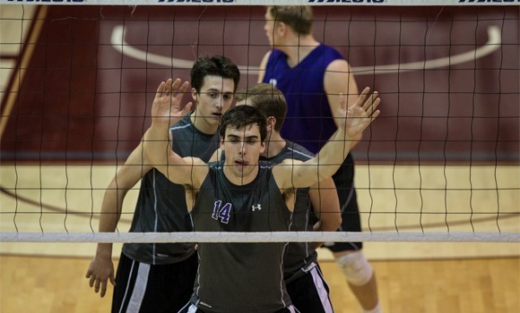 CIS men??s volleyball championship: Mustangs stun Spartans?again