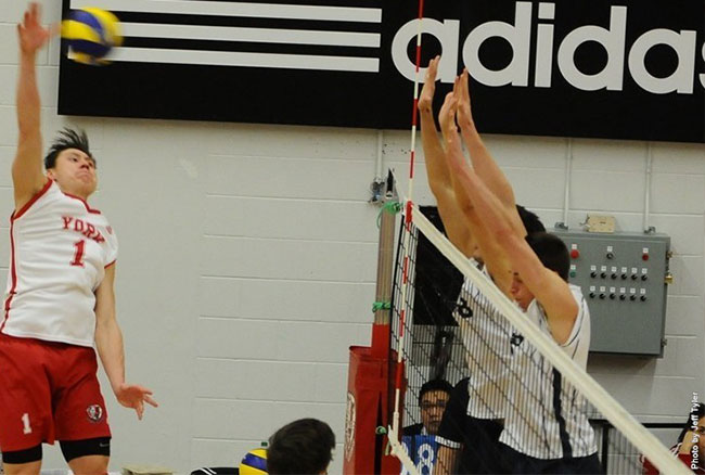 M-VOLLEYBALL ROUNDUP: Lions clinch homecourt in quarterfinals with win against Lancers