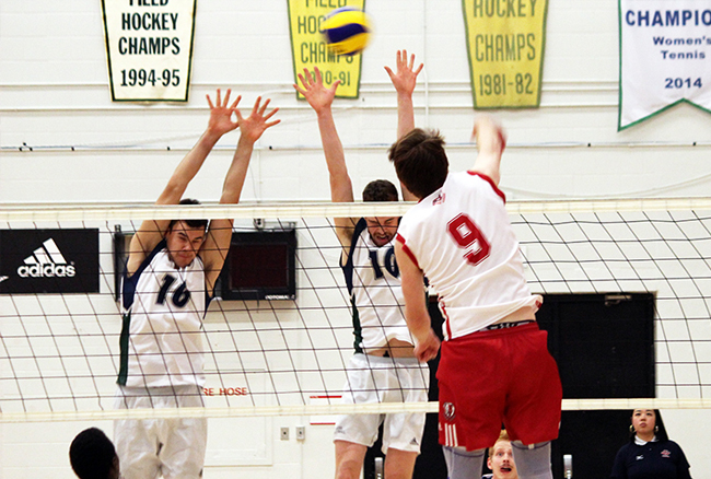 Lakers prevail over Lions in five sets