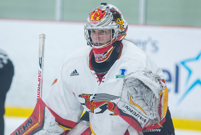 Guelph’s Lamenta named CIS women’s hockey player of the year