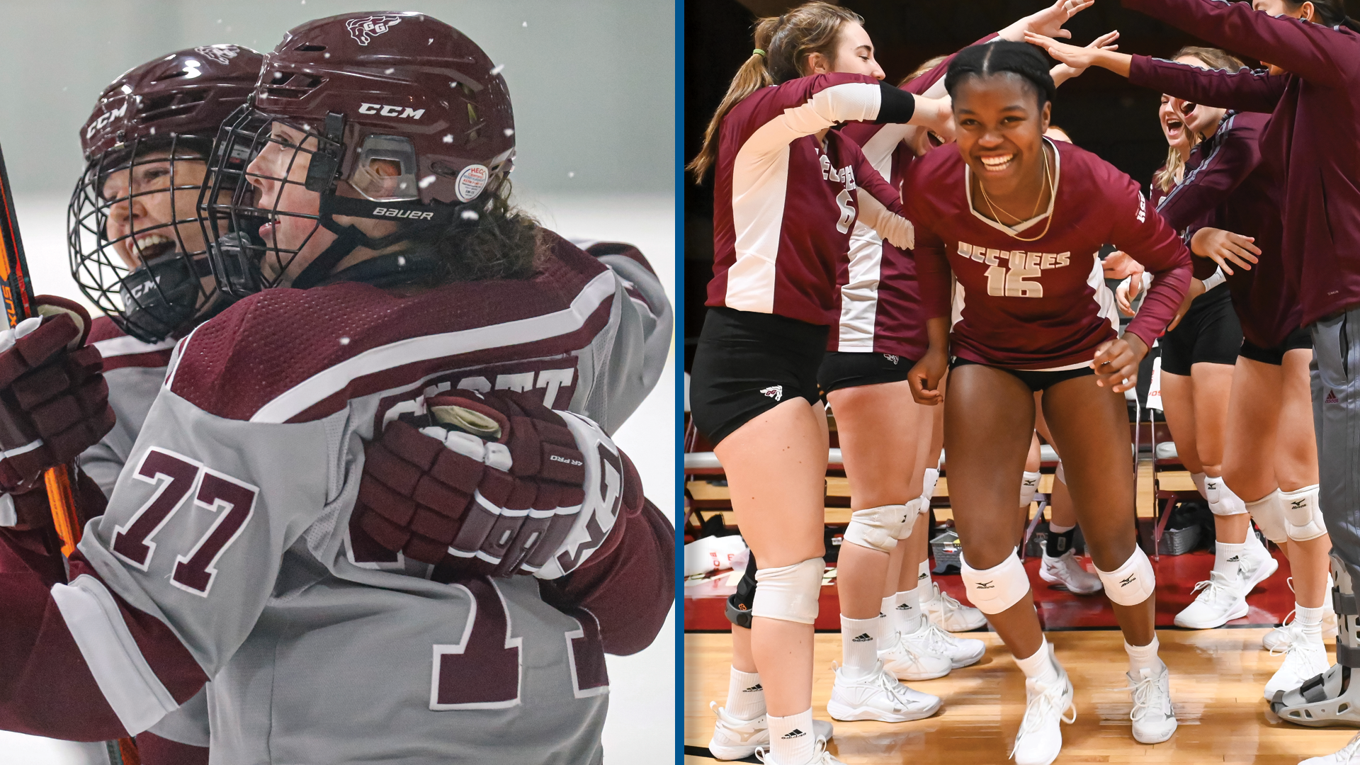 Gee-Gees announce intention to move women's hockey and volleyball to OUA