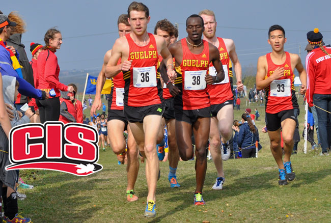 Guelph looking for remarkable ninth consecutive banner sweep at 2014 CIS cross-country championships