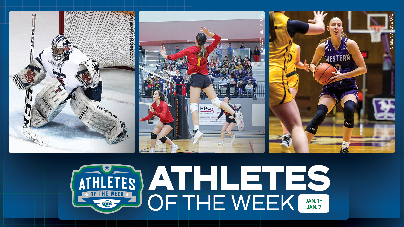 Graphic on predominantly blue background featuring action photos of three athletes. From left to right: Erica Fryer a Toronto Varsity Blues Women's Hockey Player, in the middle is Briar Crerar of Guelph Gryphons Volleyball, on the right is Mackeely Shantz from Western Mustangs Basketball with the OUA Athletes of the Week logo and large white 'Athletes of the Week' text in the lower third