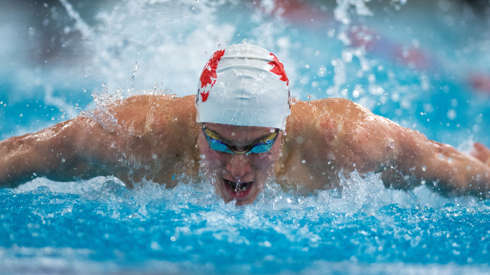York men's swimmer Eric Ginzburg swimming the butterfly during a race