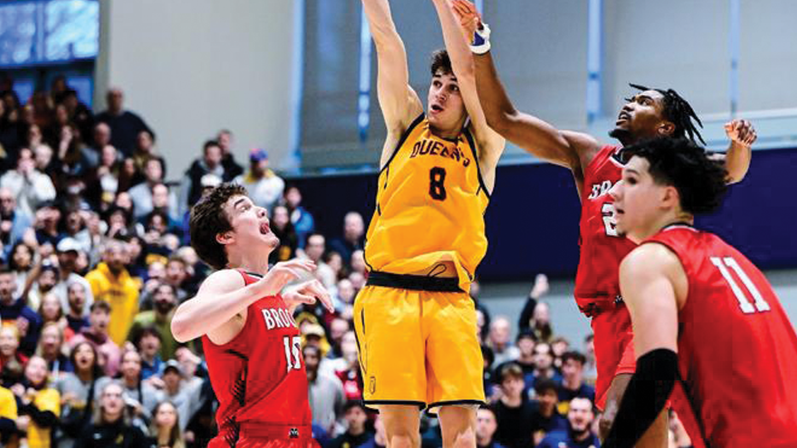 Queen's men's basketball player Cole Syllas shooting the ball over Brock defenders during a game