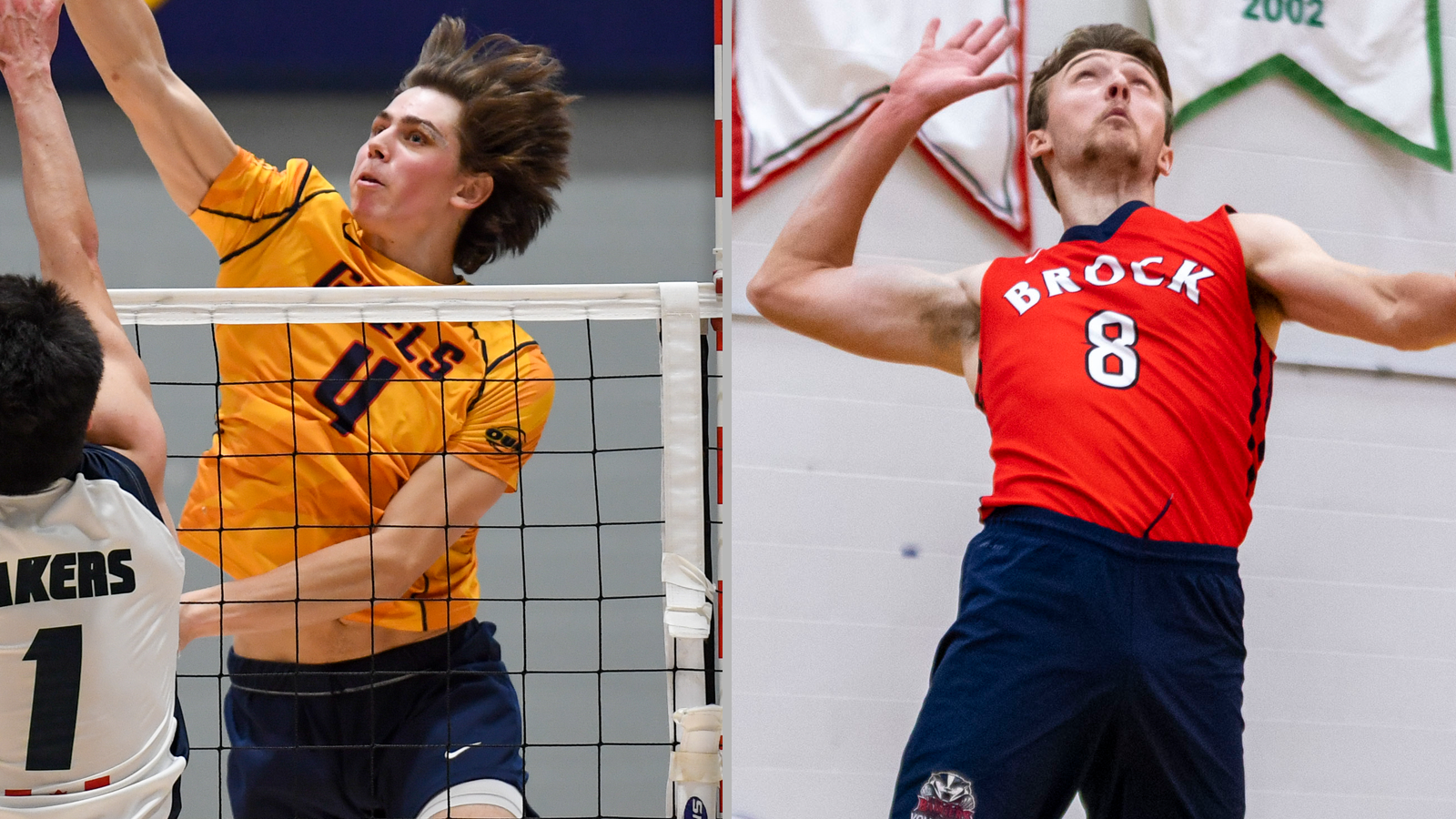 Past award winners add to their accolades amidst latest round of men's volleyball honourees