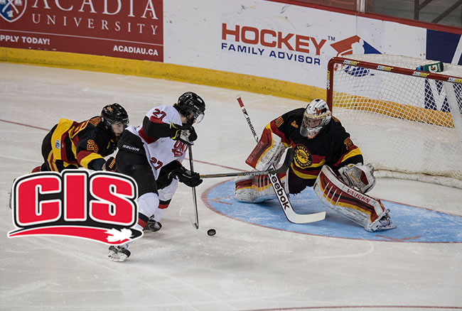 Gryphons championship hopes dashed by UNB, will play for bronze