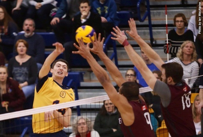 AROUND OUA: No. 8 Gaels sweep Gryphons to kick off road trip
