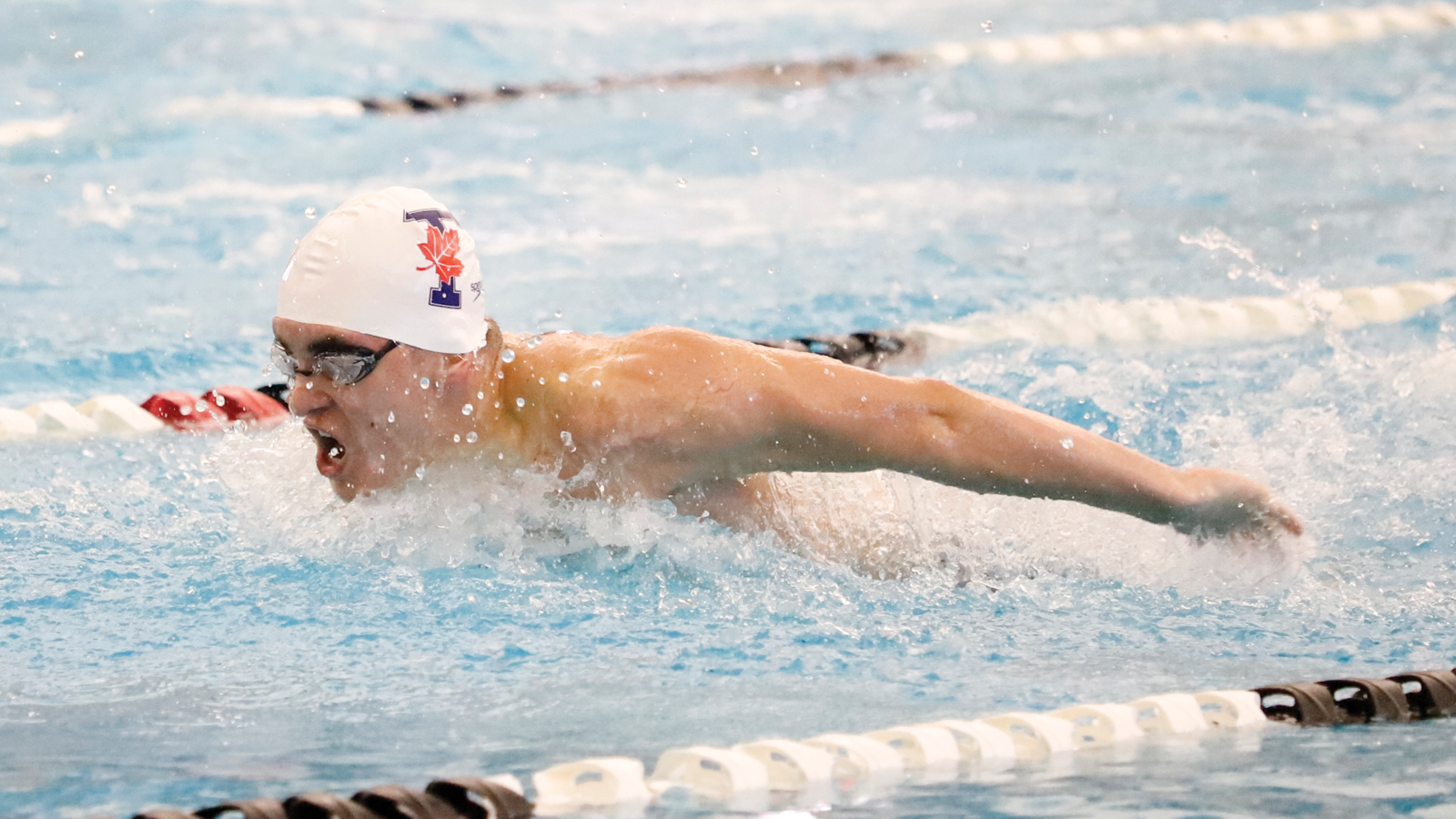 Banner Season: Another dominant day in the pool for the Varsity Blues
