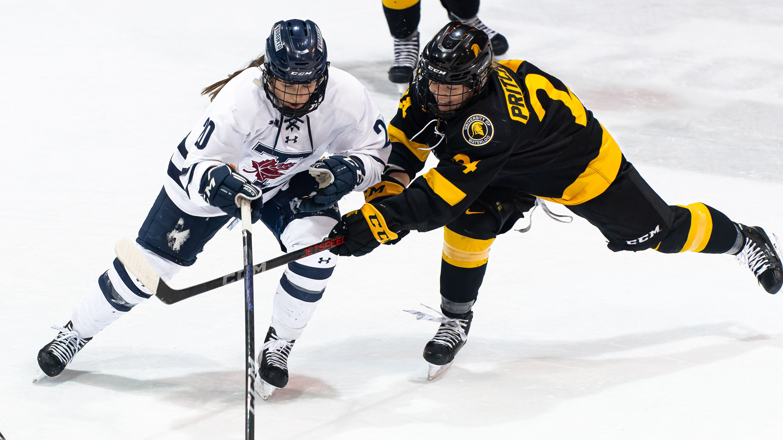 Women's hockey player from Toronto and Waterloo, respectively, competing for the puck during a game