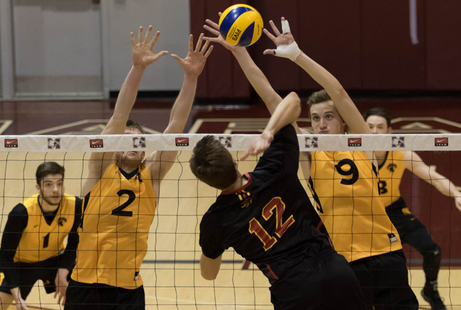 Warriors return to OUA Final, U SPORTS Championship with sweep of Gryphons
