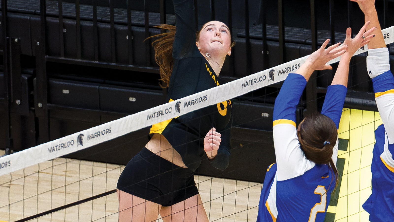 Waterloo women's volleyball player Avery Kelly jumping up for a spike at the net during a game with two opposing players attempting a block on the other side of the net