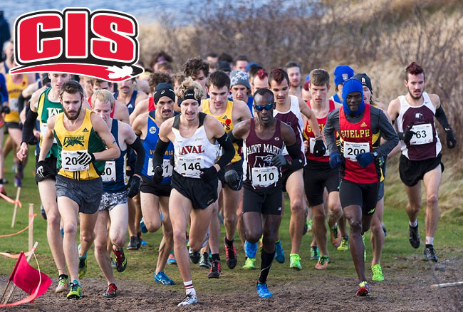 Guelph looking for remarkable 10th consecutive banner sweep at CIS cross-country championships