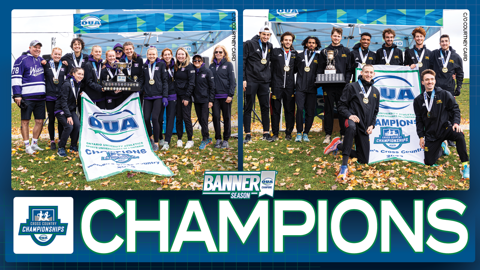 Graphic on predominantly blue background featuring banner photos for Western women's cross country team and Guelph men's cross country team, with large white text in the bottom third that reads 'CHAMPIONS' beside the OUA Cross Country Championships logo