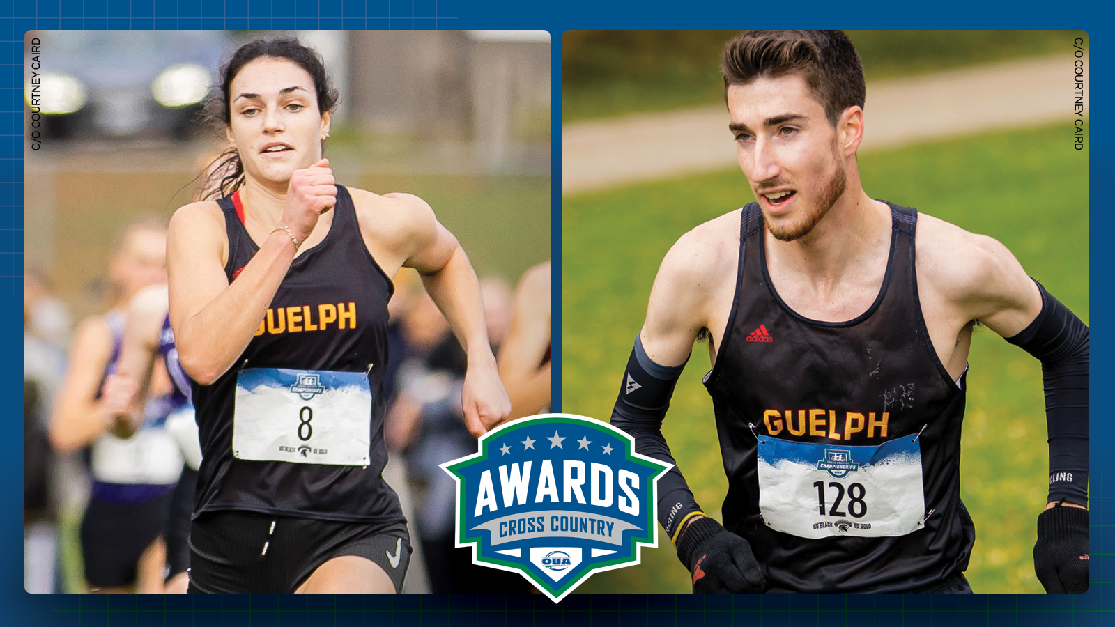 Graphic on predominantly blue background featuring action photos of Guelph cross country runners Julia Agostinelli and Nicholas Bannon, with the OUA cross country awards logo centered in the lower third