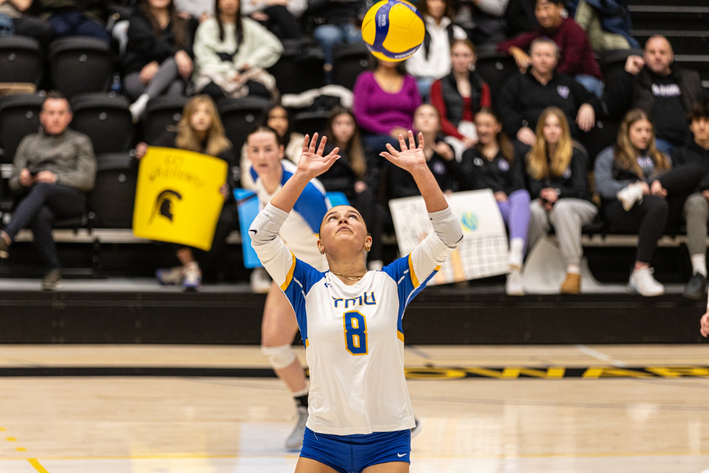 Image of TMU Bold Women's Volleyball Setter Sarah Zonneveld jumping and setting a ball. 