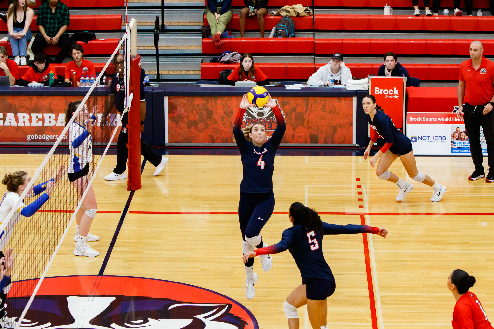 Image of a volleyball court. Brock Women's volleyball athlete Sara Rohr is jumping in the middle of the court with the net on the left and setting the ball.
